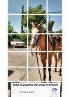 horse captcha2.jpg
