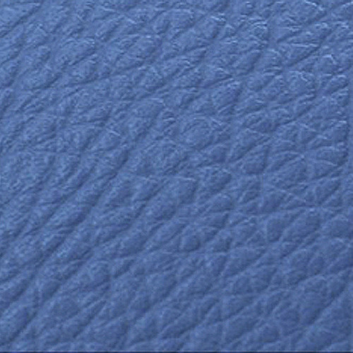 Saphire blue leather.jpg